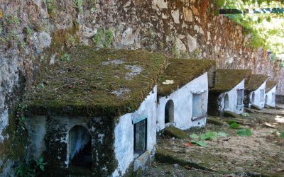 Conejeras y otros rincones de Casaldomar