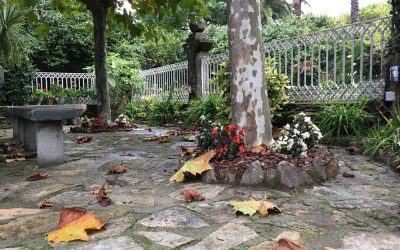 Flores y paisajes otoñales en Casaldomar