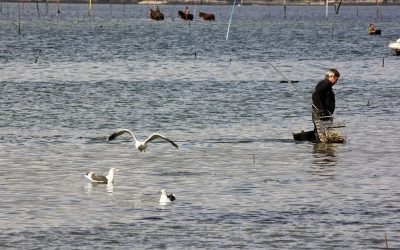 “Abrídeme esa ventá que quero ve-lo mar”