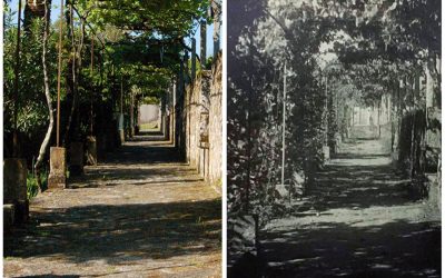 El antes y ahora de Casaldomar en imágenes