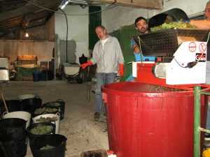 Elaborando vino en la bodega de Casaldomar