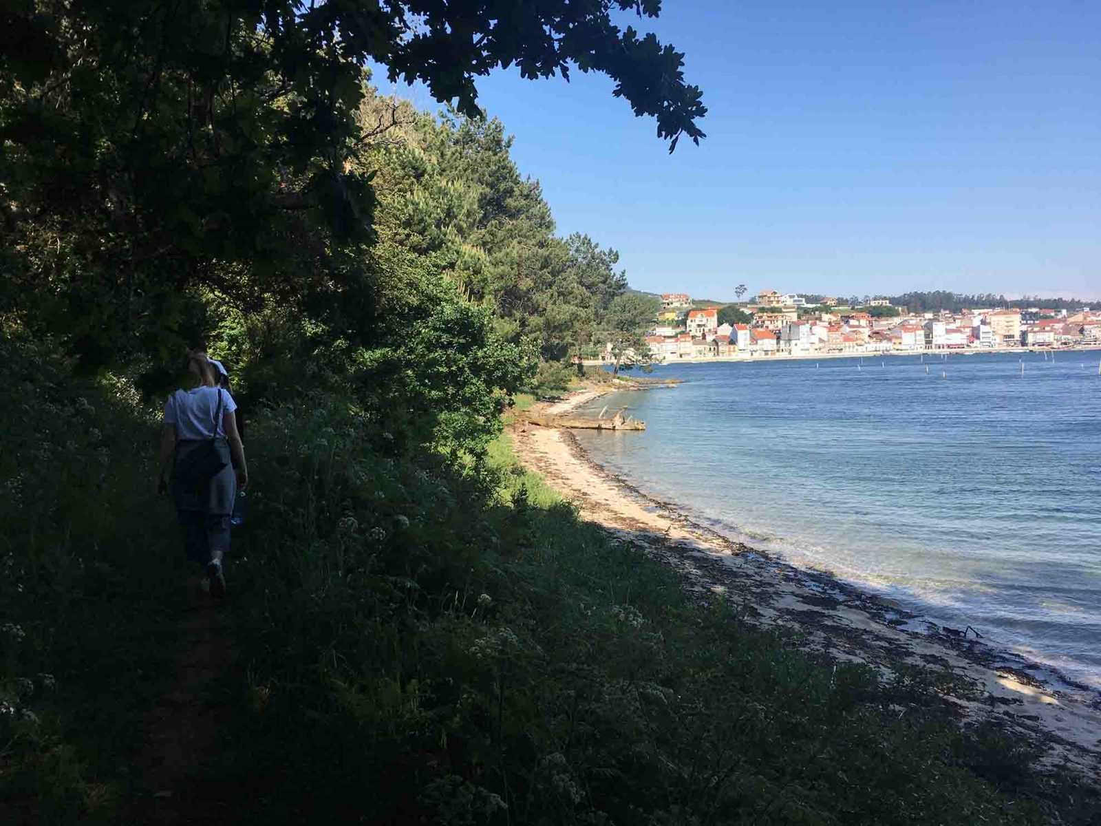 Paseo por la Isla de Cortegada (Carril)